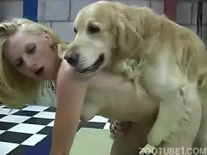 Cachorro golden comendo loirinha de quatro