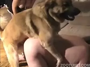 Cachorro socando a rola na buceta da coroa