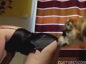 Esposa de lingerie recebendo lambida na xoxota