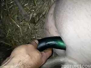 Homem fazendo porno com a sua porca da fazenda