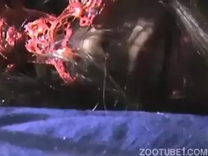 Animal querendo um sexo animal mais violento