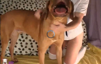 Cachorro de grande porte fode magrinha linda