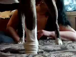 Cavalo recebendo punheta dessa esposa da cidade
