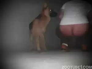 Coroa mijando e cachorro assistindo tudo