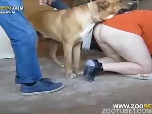 Coroa se abaixou sem calcinha e cão subiu nela
