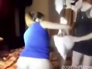Ela quis fazer sexo com cachorro na sala da casa