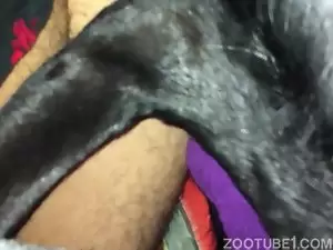 Homem dormindo agarrado com sua cadelinha