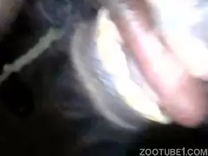 Homem fazendo video passando rola no animal