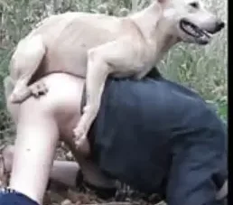 Homem gay foi para o mato com cachorro