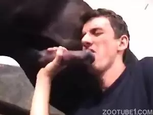 Homem gay mamando cavalo pela primeira vez