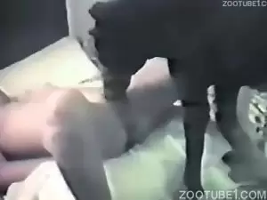 Jumento arrombando essa mulher viciada em sexo