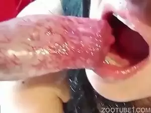Mulher gosta quando cachorro goza no seu rosto