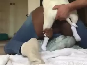 Mulher negra transando com cachorro pequeno