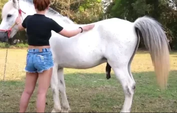 Mulher passou o dia com animal e apaixonou na rola