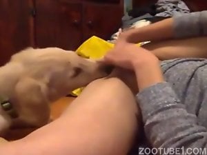 Novinha escondida se masturbando com cachorro