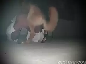 Porno zoofilia com muita sacanagem na fazenda