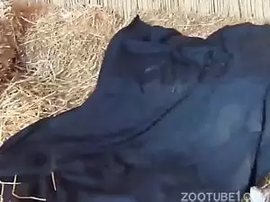 Video de mulher nua querendo transar com cão
